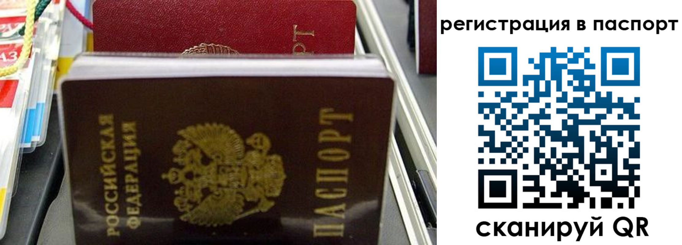 прописка для школы в Тихвине